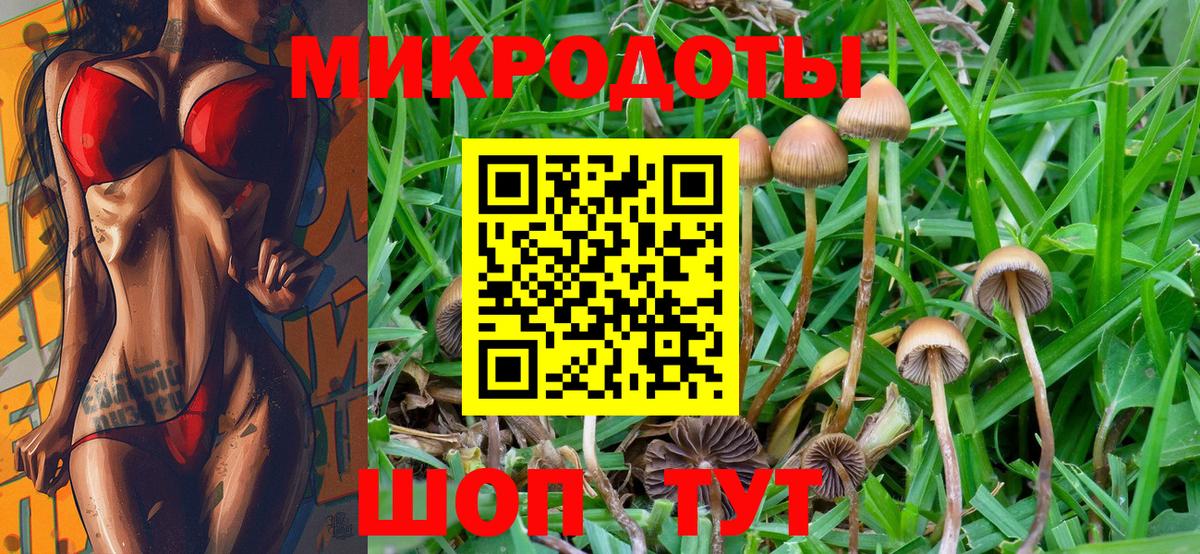 Псилоцибиновые грибы Cubensis Асино