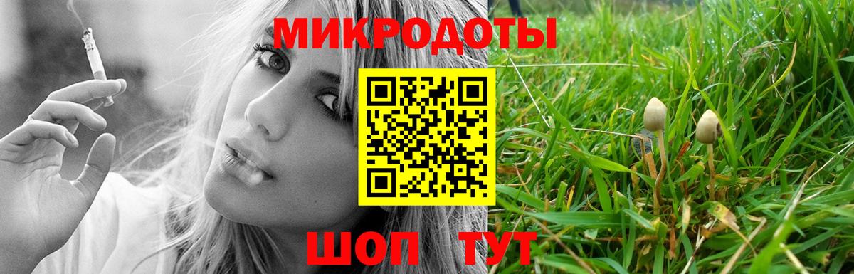 Асино  Псилоцибиновые грибы MAGIC MUSHROOMS  Псилоцибиновые грибы мухоморы  Вход с VPN 